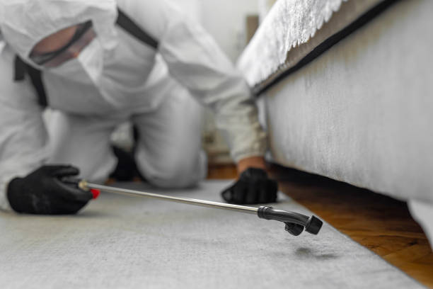 Professional Bed Bug Control technician working in Brock Hall, MD
