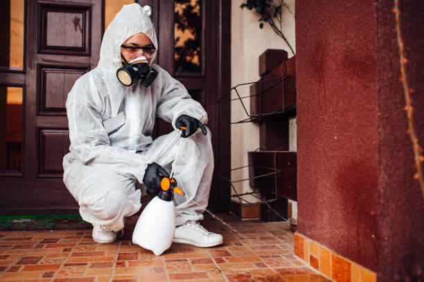 Reliable Bed Bug Control contractor in Brock Hall, MD by Nex Pest Control