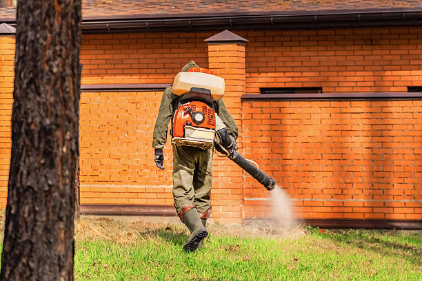 Trusted Mosquito Control service in Brock Hall, MD - Nex Pest Control
